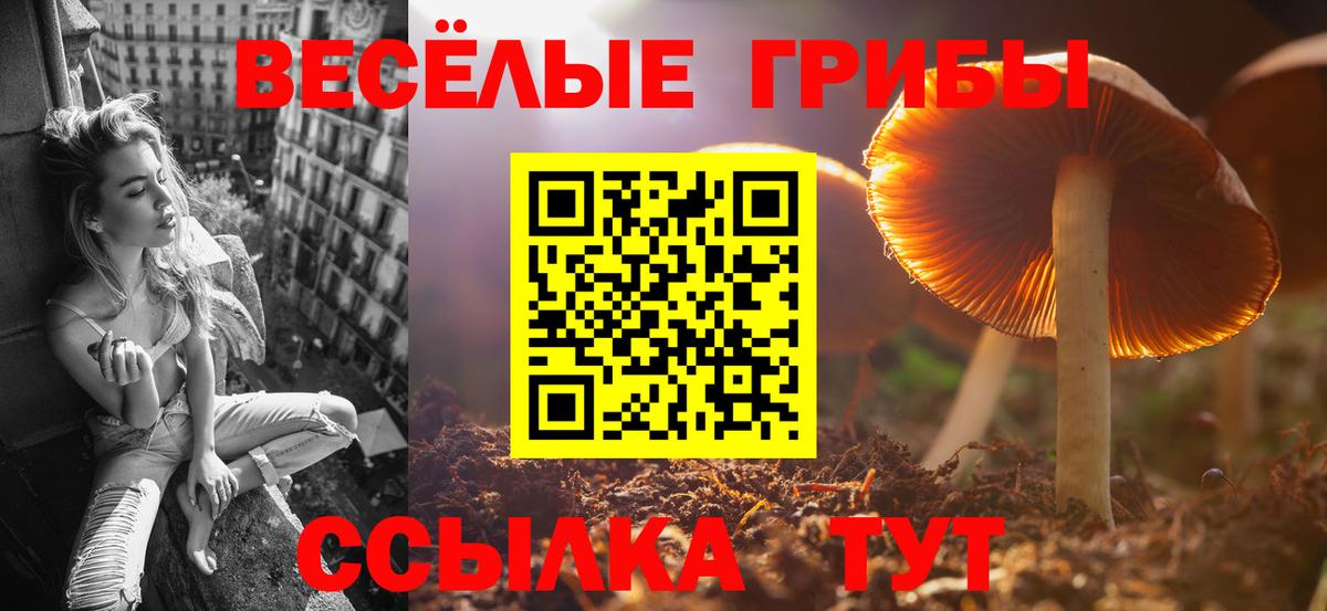 Псилоцибиновые грибы Psilocybine cubensis Рославль