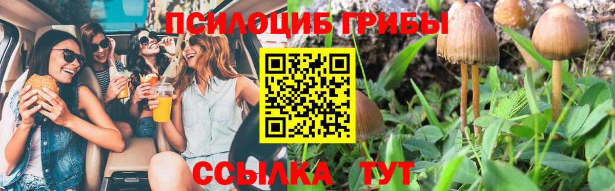 Галлюциногенные грибы Cubensis  Вход с VPN  Рославль 